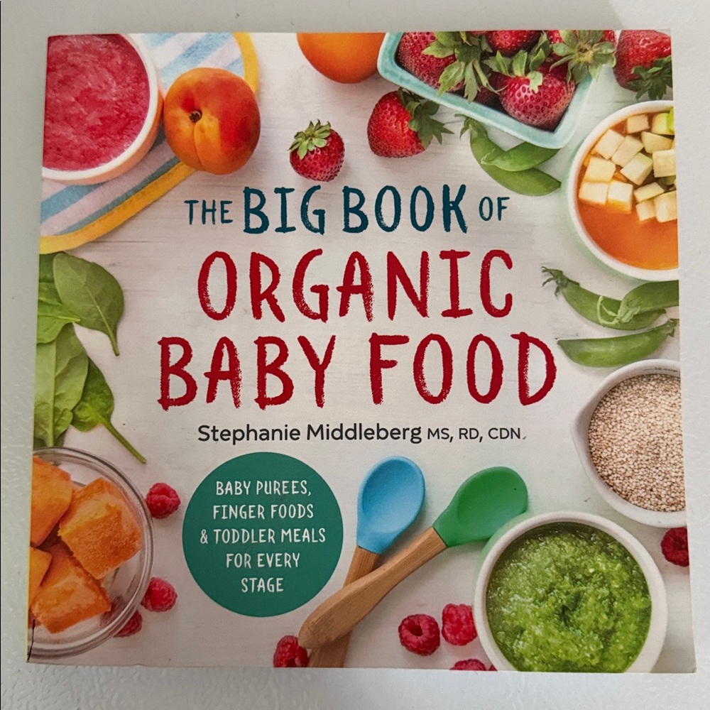 The Big Book of Organic Baby Food